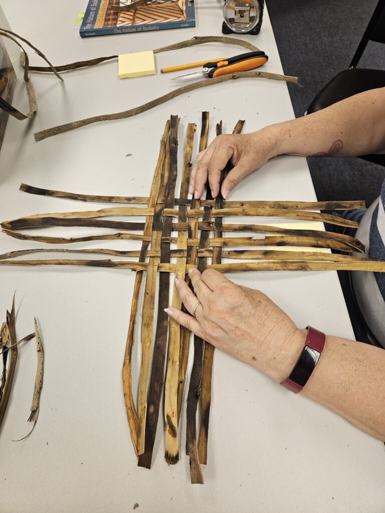 Basketry & Harvested Fibers